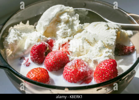 Des fraises à la crème glacée et de lait dans le bol en verre Banque D'Images