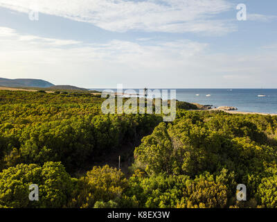 Vue aérienne de la tour génoise tour genovese, péninsule du Cap Corse, Corse, France. Littoral. Banque D'Images