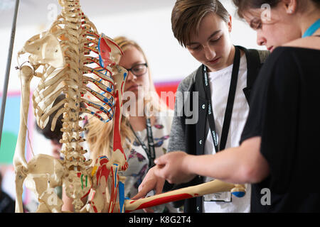 Les élèves de la classe de biologie Banque D'Images