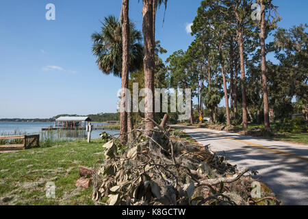 Débris Ouragan Irma Mount Dora, Floride USA Banque D'Images