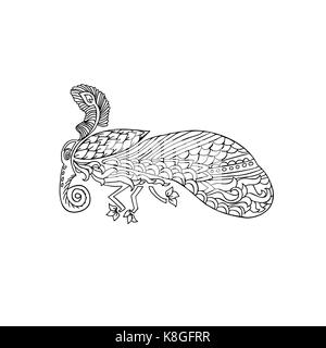 Papillon noir et wite avec ornements floraux ethniques pour des profils à colorier. zentagle. motif doodle vecteur illustration. nuit volée d'amphibien. Illustration de Vecteur