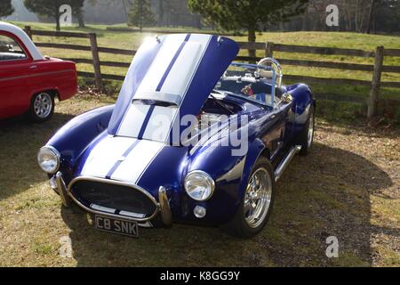 Ac cobra Banque D'Images