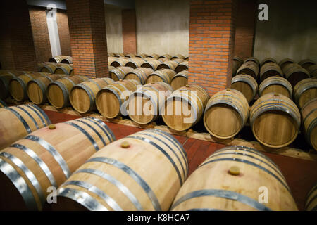 Rangées de fûts de bois dans la cave à vin Banque D'Images