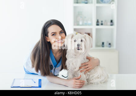 Beautiful smiling médecin vétérinaire et mignon chien blanc. Pet Care Banque D'Images