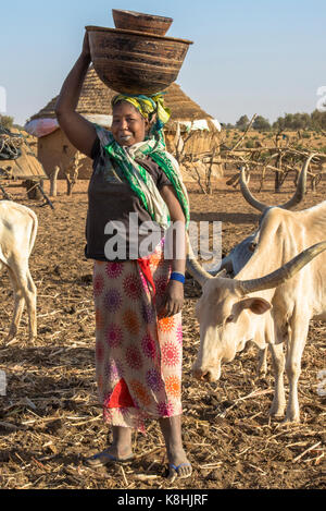 Le bétail Peul herder. le Sénégal. Banque D'Images