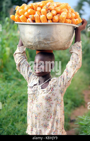 Girl réalisation plateau avec le maïs en tête. le Togo. Banque D'Images