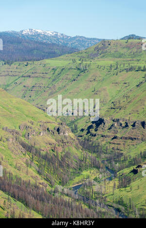 L'wenaha river canyon dans l'wenaha-tucannon, sauvage de l'oregon. Banque D'Images