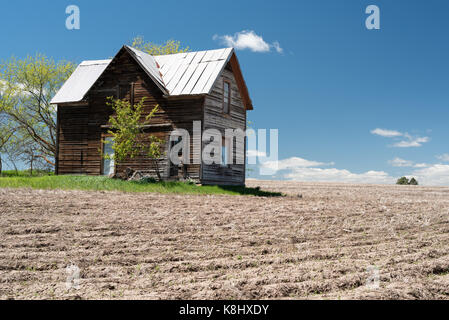 Ancienne ferme entourée d'un champ près de disked flore, de l'oregon. Banque D'Images