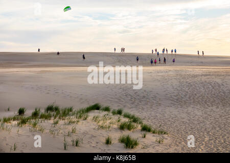 Caroline du Nord,NC,Outer Banks,Cape Hatteras National Seashore,Jockey's Ridge State Park,Living Sand dune,cerf-volant,NC170518159 Banque D'Images