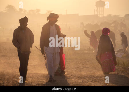 Pushkar, Inde - circa novembre 2016 : wailking au petit matin sur le chameau de Pushkar fair grounds. c'est l'une des plus grandes foires d'un chameau. Banque D'Images