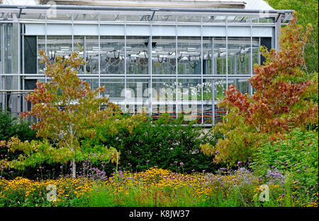 Jardin botanique de l'université de Cambridge, Angleterre Banque D'Images