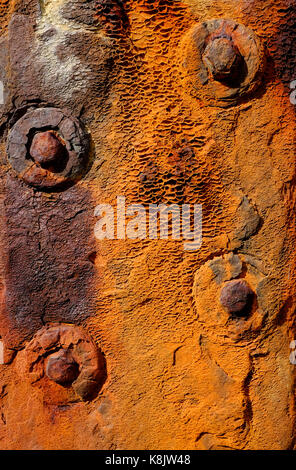Plaque de métal oxydé rouillé on beach Banque D'Images