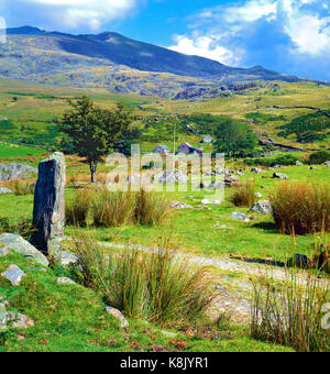 Une vue d'été du parc national de Snowdonia, Pays de Galles, Royaume-Uni Banque D'Images