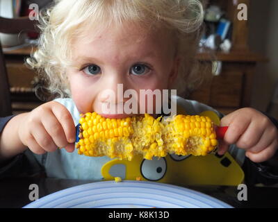 Un tout-petit affamé qui apprécie son maïs en épi.Un garçon de deux ans et demi mangeant son maïs sucré avec des brochettes.Apprendre à manger des légumes frais. Banque D'Images