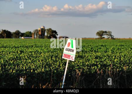 Un cas isolé, les nourrir de graines/signer le long d'un chemin de terre en milieu rural en Illinois farm country, près de Sandwich, Illinois, USA. Banque D'Images