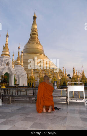 Moine bouddhiste theravada en robe orange prier à la pagode Shwedagon, Yangon, Birmanie, Myanmar, en Asie du sud-est Banque D'Images