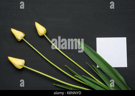 Trois tulipes sur grunge background avec papier vide Banque D'Images