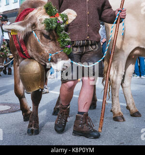 Viehscheid, fête traditionnelle de la vache de retour de l'alpine meadows- l'aumône , allgaeu, Allemagne Banque D'Images