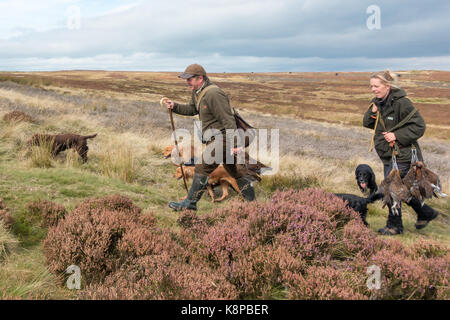Royaume-uni : La faune Ilkley Moor, West Yorkshire, Royaume-Uni. 20 septembre 2017. Deux personnes transportant le lagopède des saules (Lagopus lagopus) qui ont été éliminées et recueillies par les chiens après avoir été abattu. Rebecca Cole/Alamy Live News Banque D'Images