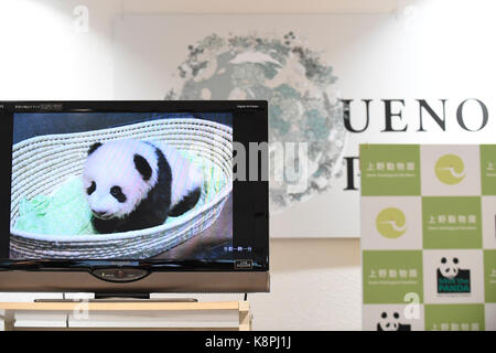 Un moniteur affiche un grand panda cub au cours d'une conférence de presse au jardin zoologique d'Ueno à Tokyo, Japon le 20 septembre 2017. Une femelle panda géant cub né à Ueno Zoological Gardens mis 100 jours aujourd'hui. Le Cub's nom sera annoncé à la fin de ce mois. crédit : yohei osada/aflo/Alamy live news Banque D'Images