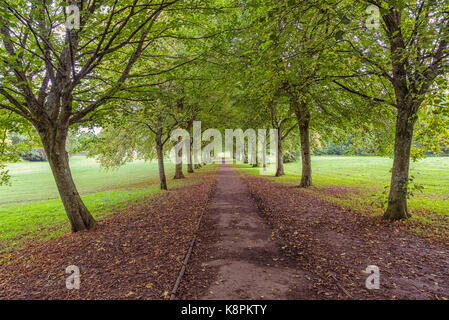 L'arbre long sentier couvert avec eglinton park irvine Ecosse Banque D'Images