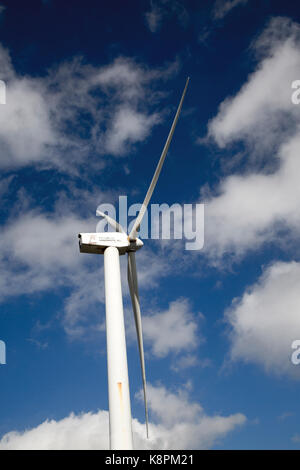 Parque Eolico éolienne parc éolien de Lanzarote, Lanzarote, îles Canaries, Espagne Banque D'Images