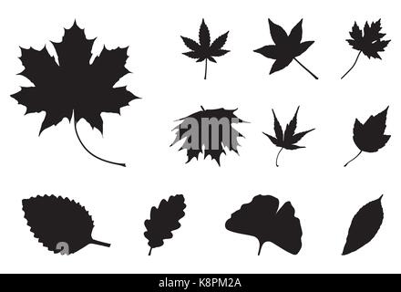 Jeu de silhouettes de feuilles d'automne, symbole, icône. Vector illustration isolé sur fond blanc. Illustration de Vecteur