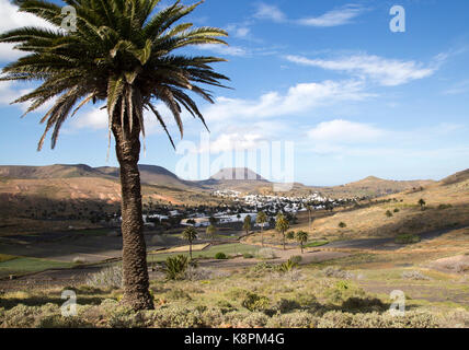 Vue sur des cactus et des maisons blanchies à la chaux à cône du volcan Monte Corona, village de Haria, Lanzarote, îles Canaries, Espagne Banque D'Images