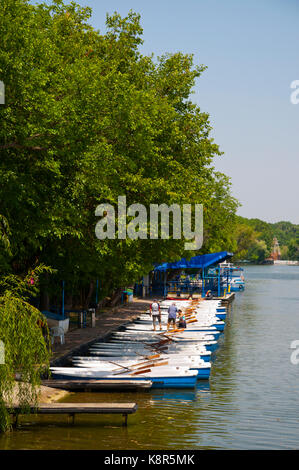 Location de bateaux d'aviron, le Lac Herastrau Parcul Herastrau,, Bucarest, Roumanie Banque D'Images