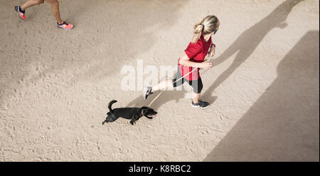 Jeune femme jogging avec chiens. Banque D'Images