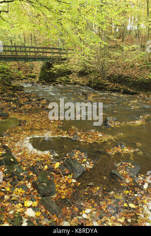 Vue sur elller beck et passerelle en bois avec les feuilles d'automne, skipton skipton, woods, North Yorkshire, Angleterre, octobre Banque D'Images