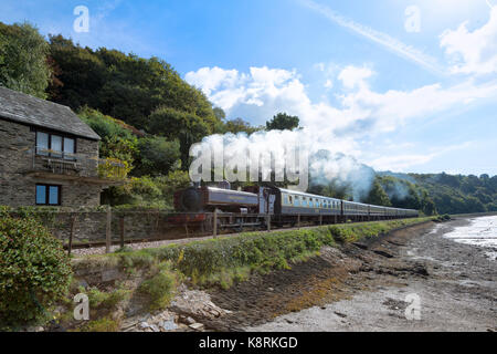 Train à vapeur plus ferry, kingswear, Devon Banque D'Images