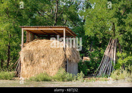 Petit foin pile sous un auvent avec green forest sur l'arrière-plan. La récolte d'automne pour nourrir les animaux en hiver. paysage rural. Banque D'Images