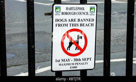 Avis d'avertissement à hartlepool pointe beach area, England, UK que les chiens sont interdits à partir de la plage à certains moments. Banque D'Images