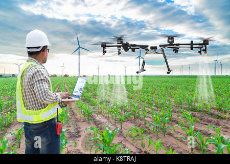 Utiliser le wifi agriculteur technicien contrôle ordinateur drone avion pour pulvériser l'agriculture engrais sur les champs de maïs Banque D'Images