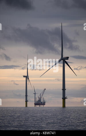 L'installation de l'ICM Seajacks Vestas Scylla aérogénérateurs) pendant le coucher du soleil sur le parc éolien de Walney Extension Banque D'Images