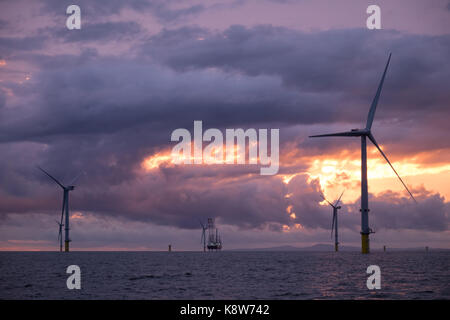 L'installation de l'ICM Seajacks Vestas Scylla aérogénérateurs) pendant le coucher du soleil sur le parc éolien de Walney Extension Banque D'Images