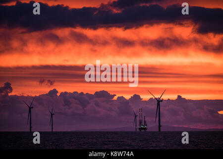 L'installation de l'ICM Seajacks Vestas Scylla aérogénérateurs) pendant le coucher du soleil sur le parc éolien de Walney Extension Banque D'Images