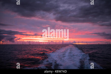 L'installation de l'ICM Seajacks Vestas Scylla aérogénérateurs) pendant le coucher du soleil sur le parc éolien de Walney Extension Banque D'Images