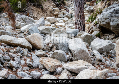 Remplir la partie desséchée de la rivière restonica, sur l'île de Corse Banque D'Images