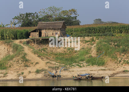 Une cabane de chaume à côté d'un champ de maïs le long de la rivière Irrawaddy au Myanmar (Birmanie). Banque D'Images