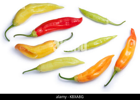 Aji cristal Chili Peppers (c. baccatum), mûres, les gousses immatures. chemins de détourage, les ombres séparées, vue du dessus Banque D'Images