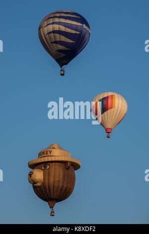 Reno hot air balloon race 2017 Banque D'Images