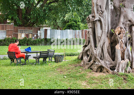 Monk se relaxant dans le jardin, Bangkok, Thaïlande Banque D'Images