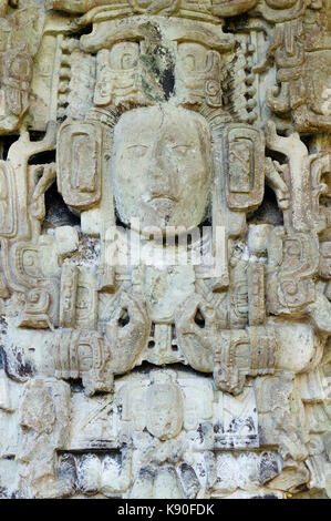 L'Amérique centrale, le Honduras, la ville maya de Copan en ruines. La photo présente stella par les escaliers Banque D'Images