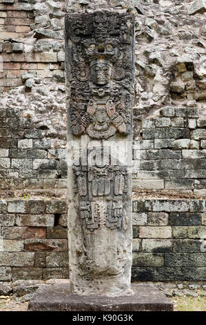 L'Amérique centrale, le Honduras, la ville maya de Copan en ruines. La photo présente le détail de la stèle Banque D'Images