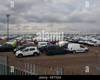 Sheerness, Kent, UK. Sep 21, 2017. Les voitures diesel Volkswagen importés saisis à Sheerness docks par des militants de Greenpeace. Une vue générale des nouvelles voitures alignées dans Sheerness docks. Credit : James Bell/Alamy Live News Banque D'Images