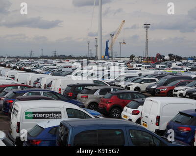 Sheerness, Kent, UK. Sep 21, 2017. Les voitures diesel Volkswagen importés saisis à Sheerness docks par des militants de Greenpeace. Une vue générale des nouvelles voitures alignées dans Sheerness docks. Credit : James Bell/Alamy Live News Banque D'Images