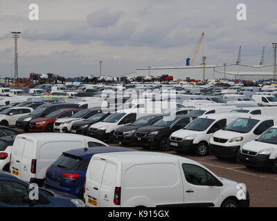 Sheerness, Kent, UK. Sep 21, 2017. Les voitures diesel Volkswagen importés saisis à Sheerness docks par des militants de Greenpeace. Une vue générale des nouvelles voitures alignées dans Sheerness docks. Credit : James Bell/Alamy Live News Banque D'Images