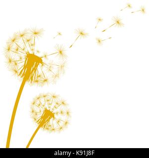 Silhouette d'un pissenlit sur fond blanc Illustration de Vecteur